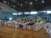 Campeonato Estadual do Rio de Janeiro