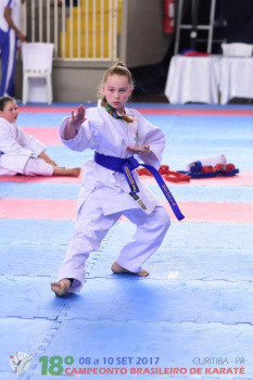 XVIII Campeonato Brasileiro de Karate